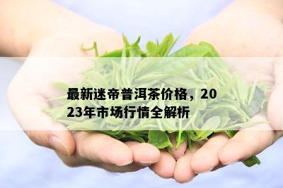 最新迷帝普洱茶价格，2023年市场行情全解析