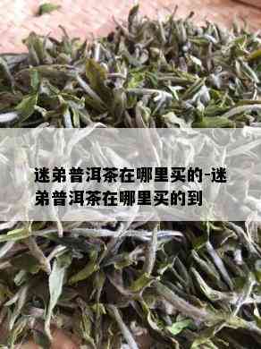 迷弟普洱茶在哪里买的-迷弟普洱茶在哪里买的到