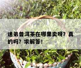 迷弟普洱茶在哪里卖呀？真的吗？求解答！