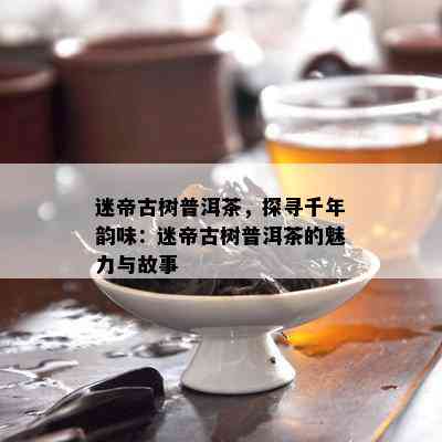 迷帝古树普洱茶，探寻千年韵味：迷帝古树普洱茶的魅力与故事