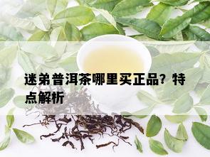 迷弟普洱茶哪里买正品？特点解析