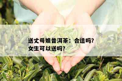 送丈母娘普洱茶：合适吗？女生可以送吗？