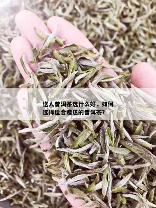 送人普洱茶选什么好，如何选择适合赠送的普洱茶？