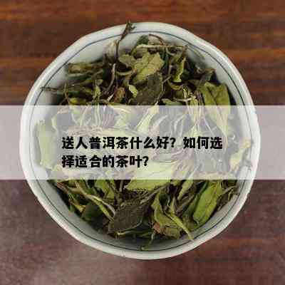 送人普洱茶什么好？如何选择适合的茶叶？