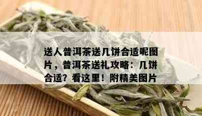 送人普洱茶送几饼合适呢图片，普洱茶送礼攻略：几饼合适？看这里！附精美图片