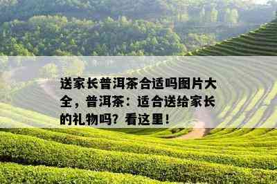 送家长普洱茶合适吗图片大全，普洱茶：适合送给家长的礼物吗？看这里！