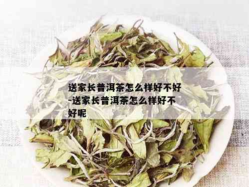 送家长普洱茶怎么样好不好-送家长普洱茶怎么样好不好呢