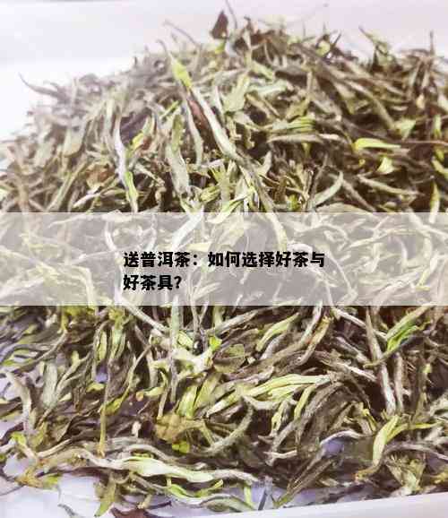 送普洱茶：如何选择好茶与好茶具？