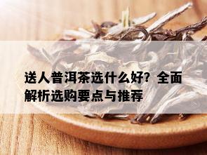 送人普洱茶选什么好？全面解析选购要点与推荐