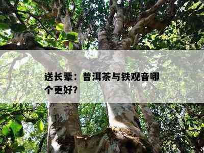 送长辈：普洱茶与铁观音哪个更好？