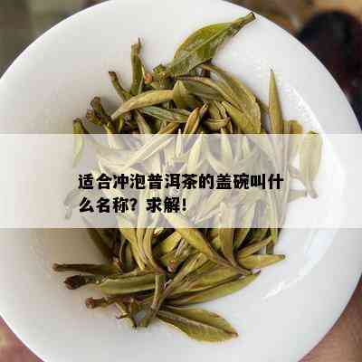 适合冲泡普洱茶的盖碗叫什么名称？求解！