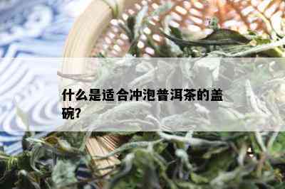 什么是适合冲泡普洱茶的盖碗？