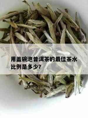 用盖碗泡普洱茶的更佳茶水比例是多少？