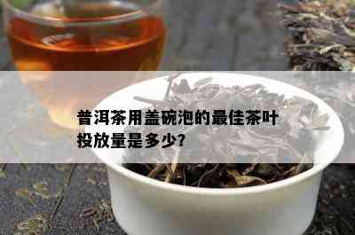 普洱茶用盖碗泡的更佳茶叶投放量是多少？