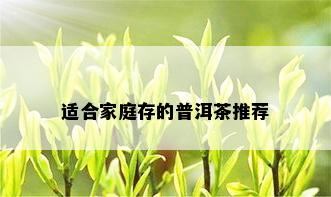 适合家庭存的普洱茶推荐