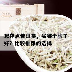 想存点普洱茶，买哪个牌子好？比较推荐的选择