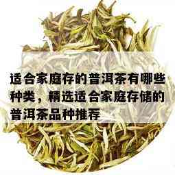 适合家庭存的普洱茶有哪些种类，精选适合家庭存储的普洱茶品种推荐