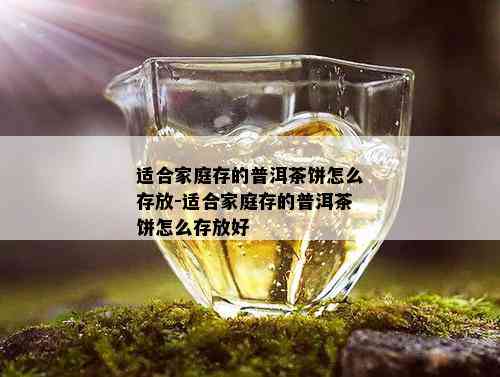 适合家庭存的普洱茶饼怎么存放-适合家庭存的普洱茶饼怎么存放好