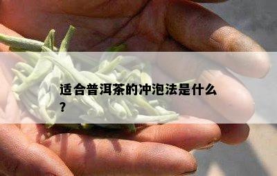 适合普洱茶的冲泡法是什么？