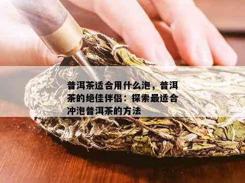 普洱茶适合用什么泡，普洱茶的绝佳伴侣：探索最适合冲泡普洱茶的方法