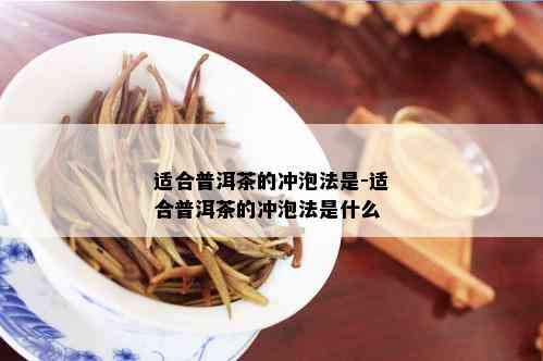 适合普洱茶的冲泡法是-适合普洱茶的冲泡法是什么