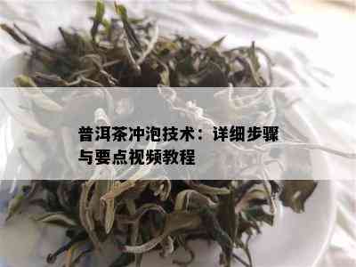 普洱茶冲泡技术：详细步骤与要点视频教程