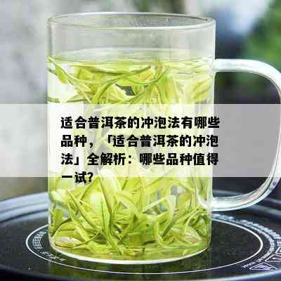 适合普洱茶的冲泡法有哪些品种，「适合普洱茶的冲泡法」全解析：哪些品种值得一试？