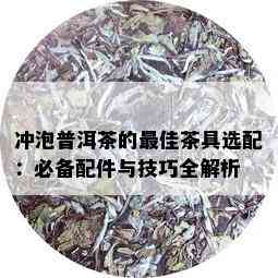 冲泡普洱茶的更佳茶具选配：必备配件与技巧全解析