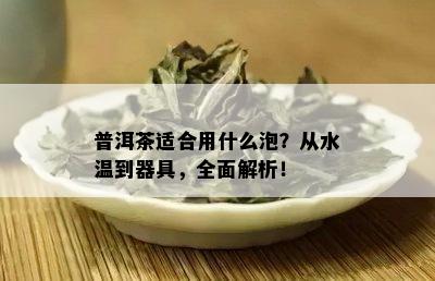 普洱茶适合用什么泡？从水温到器具，全面解析！