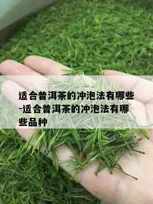 适合普洱茶的冲泡法有哪些-适合普洱茶的冲泡法有哪些品种