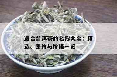 适合普洱茶的名称大全：精选、图片与价格一览