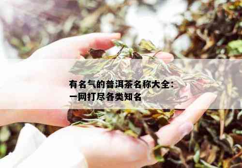 有名气的普洱茶名称大全：一网打尽各类知名