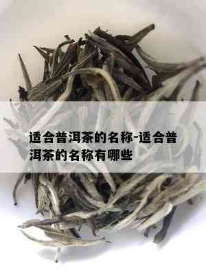 适合普洱茶的名称-适合普洱茶的名称有哪些