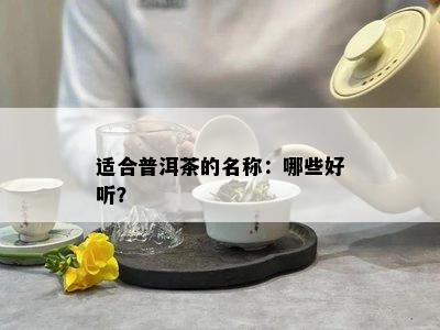 适合普洱茶的名称：哪些好听？