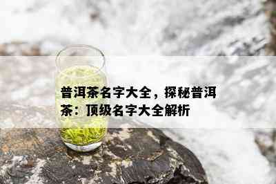 普洱茶名字大全，探秘普洱茶：顶级名字大全解析