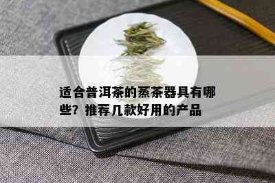 适合普洱茶的蒸茶器具有哪些？推荐几款好用的产品