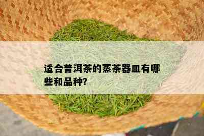 适合普洱茶的蒸茶器皿有哪些和品种？