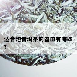 适合泡普洱茶的器皿有哪些？