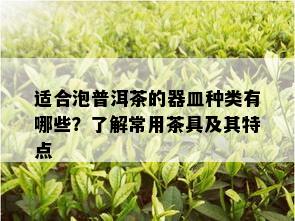 适合泡普洱茶的器皿种类有哪些？了解常用茶具及其特点