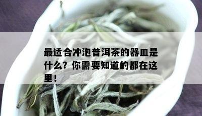 最适合冲泡普洱茶的器皿是什么？你需要知道的都在这里！