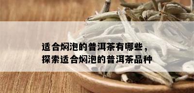 适合焖泡的普洱茶有哪些，探索适合焖泡的普洱茶品种