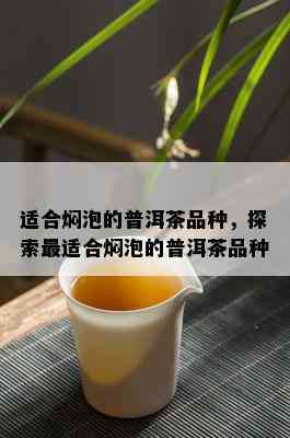 适合焖泡的普洱茶品种，探索最适合焖泡的普洱茶品种