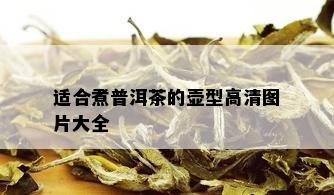 适合煮普洱茶的壶型高清图片大全