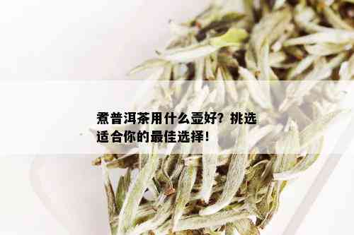 煮普洱茶用什么壶好？挑选适合你的更佳选择！