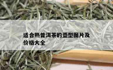 适合熟普洱茶的壶型图片及价格大全