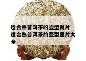 适合熟普洱茶的壶型图片-适合熟普洱茶的壶型图片大全