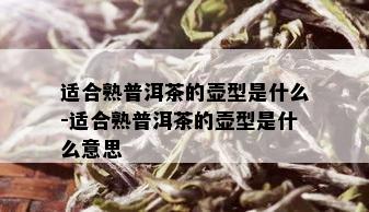 适合熟普洱茶的壶型是什么-适合熟普洱茶的壶型是什么意思