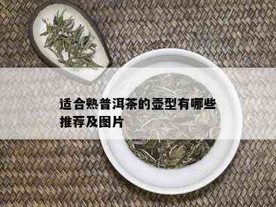 适合熟普洱茶的壶型有哪些推荐及图片