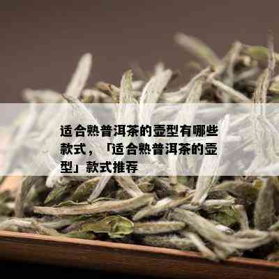 适合熟普洱茶的壶型有哪些款式，「适合熟普洱茶的壶型」款式推荐