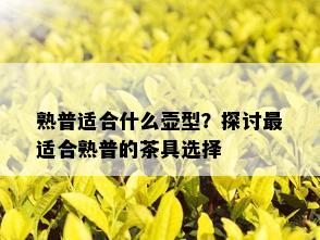 熟普适合什么壶型？探讨最适合熟普的茶具选择